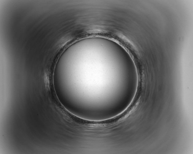 X0000098091305200804110954