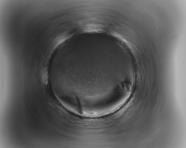 X0000098091306200804110954
