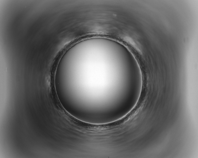 X0000098091307200804110954