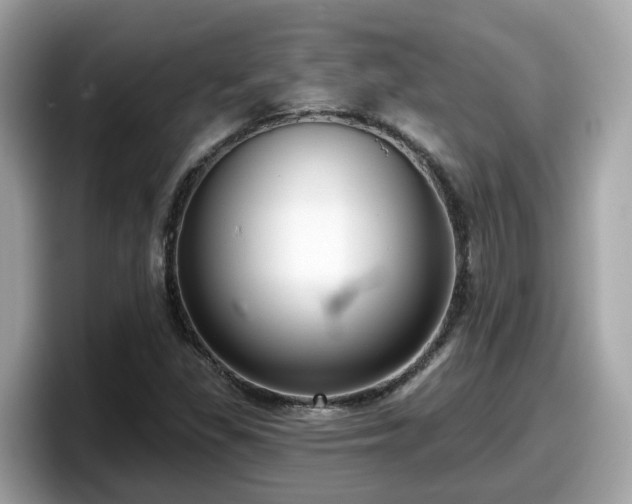 X0000098091309200804110954