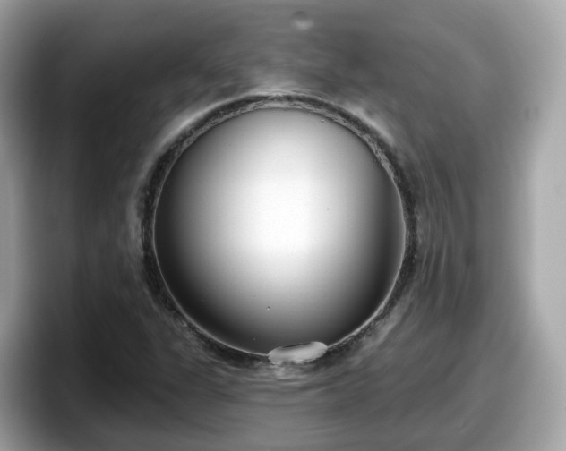 X0000098091311200804110954