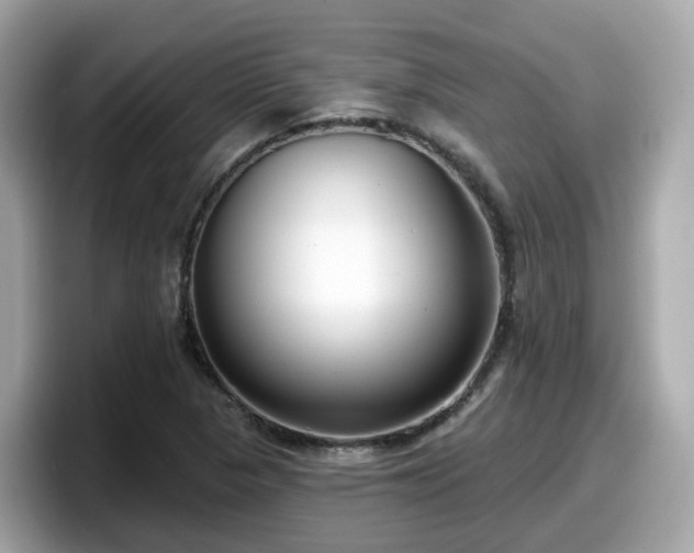 X0000098091313200804110954