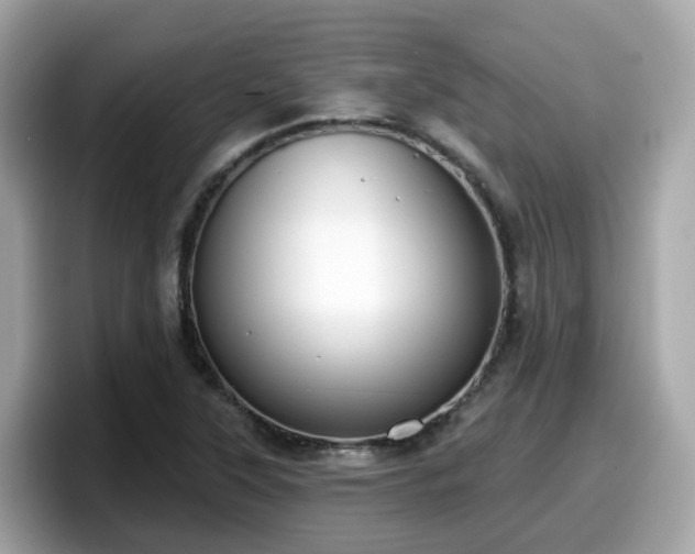 X0000098091315200804110954