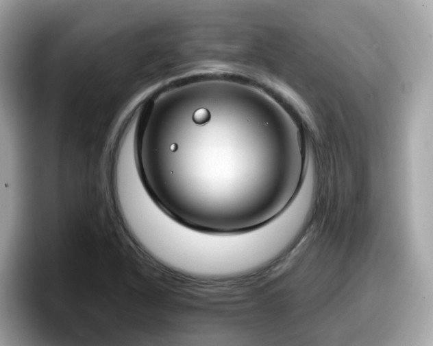 X0000098091318200804110955