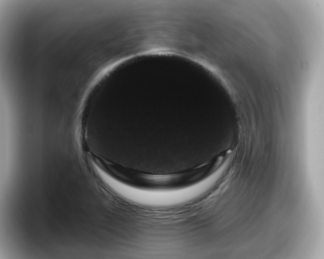 X0000098091319200804110955