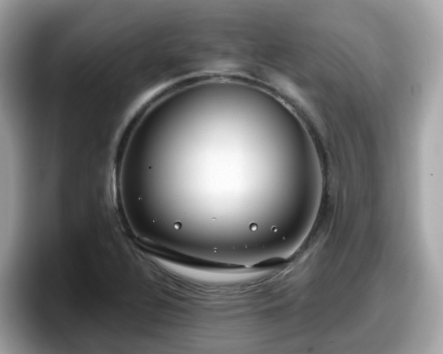 X0000098091320200804110955