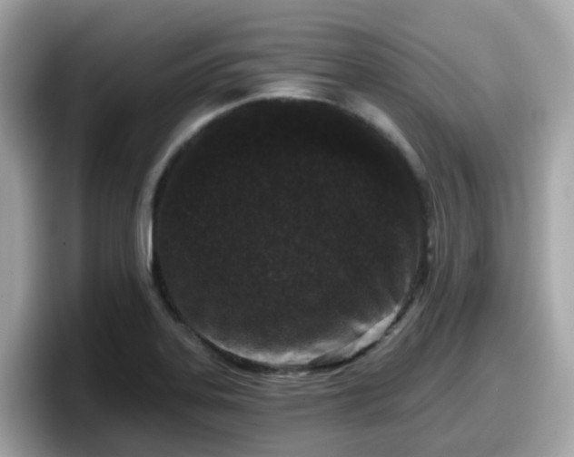 X0000098091323200804110955