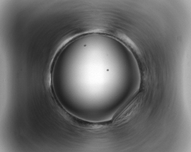 X0000098091324200804110955