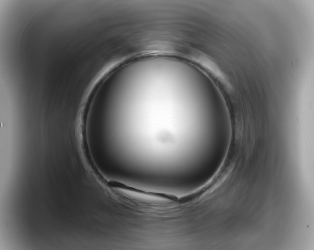 X0000098091325200804110955
