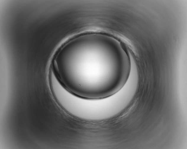 X0000098091326200804110955