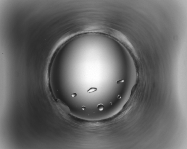 X0000098091328200804110955