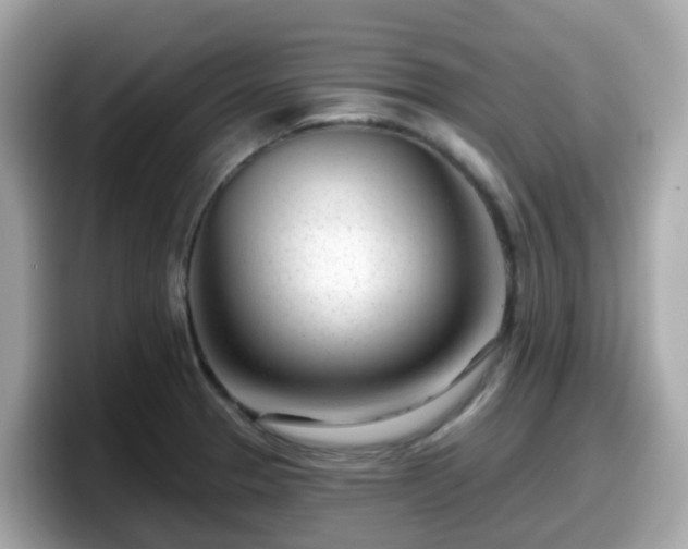 X0000098091329200804110955