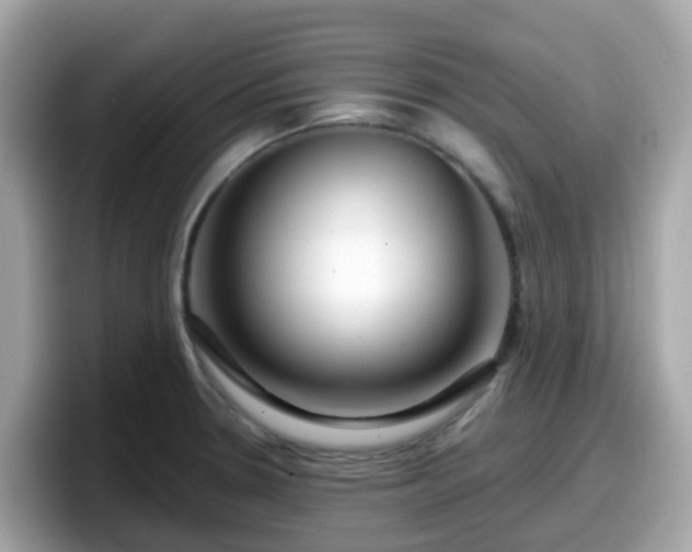 X0000098091330200804110955