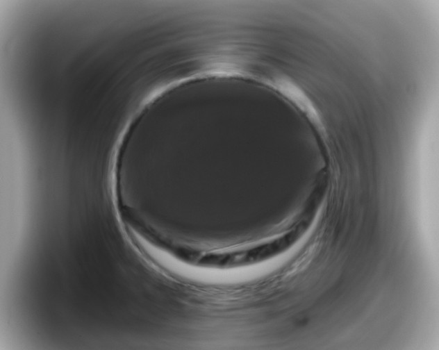X0000098091334200804110955