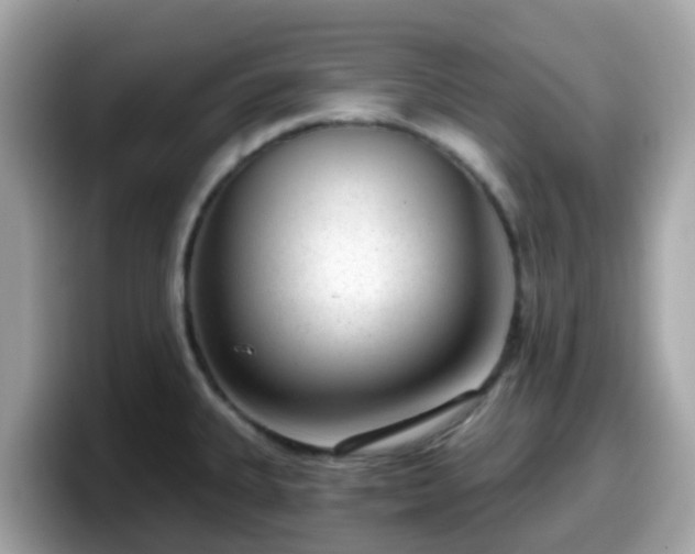 X0000098091335200804110955
