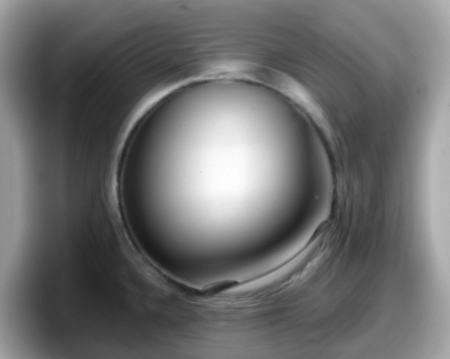 X0000098091336200804110955