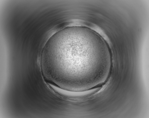 X0000098091337200804110955