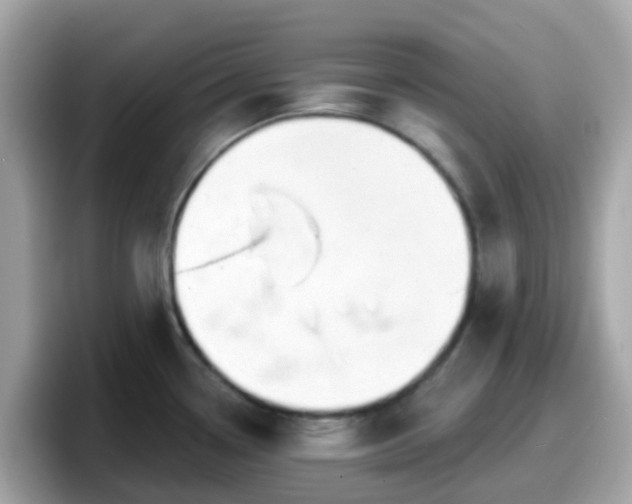 X0000098091338200804110955