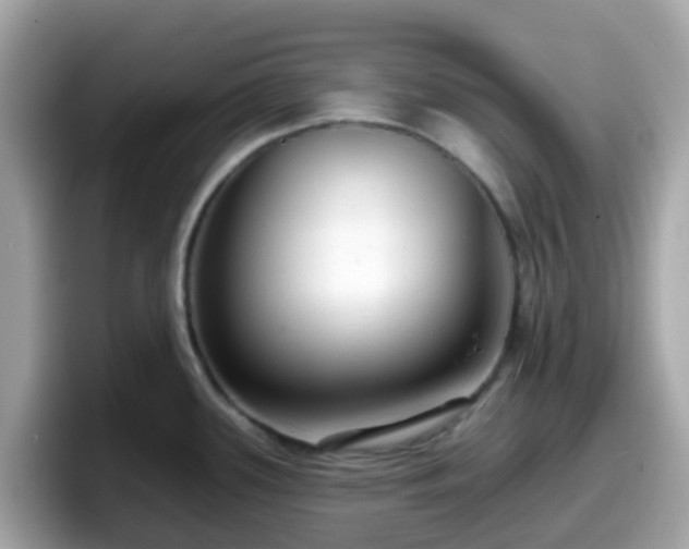 X0000098091339200804110955