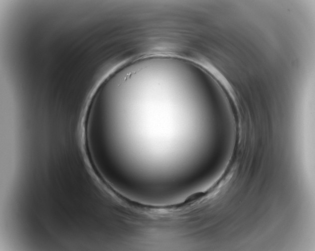 X0000098091341200804110955