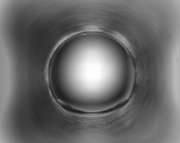X0000098091342200804110955