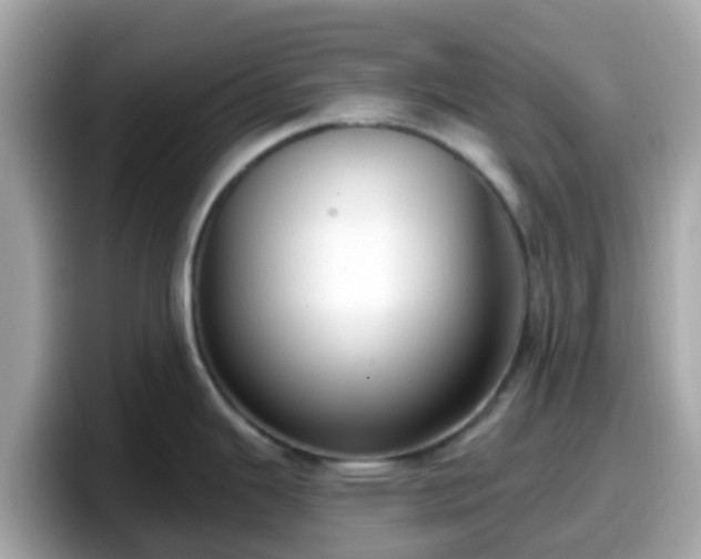 X0000098091343200804110955