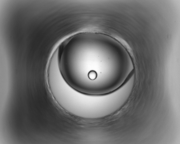 X0000098091344200804110955