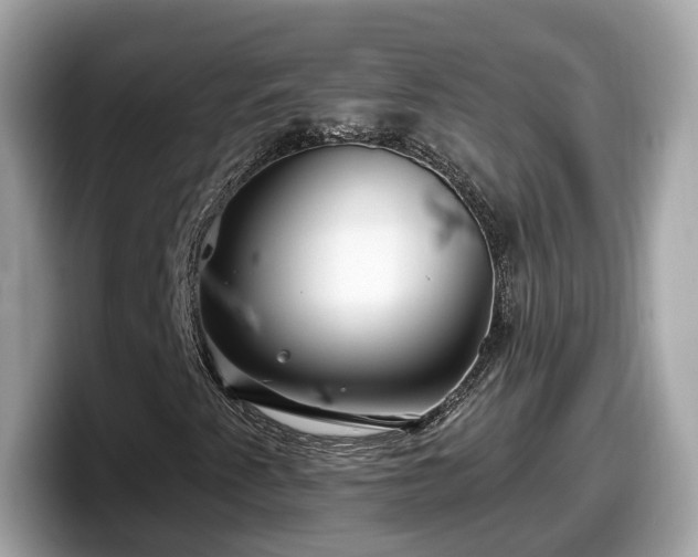 X0000098091345200804110954