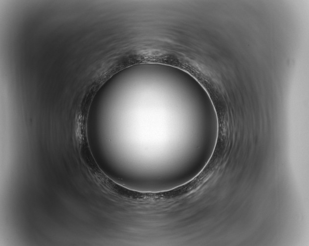 X0000098091346200804110954
