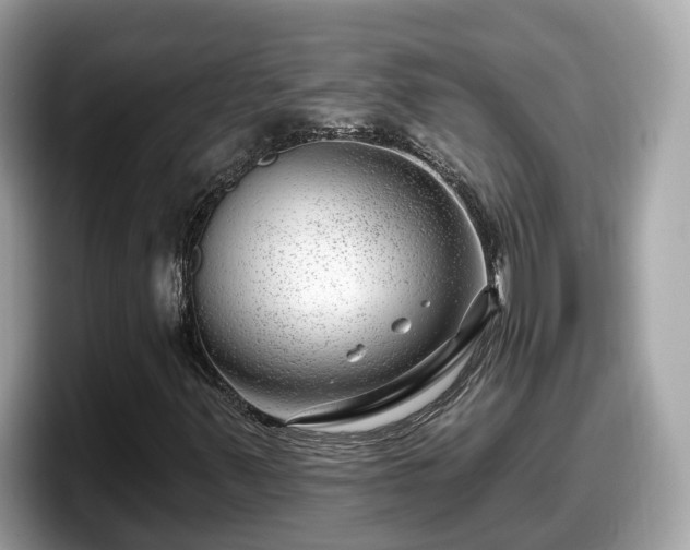 X0000098091347200804110954