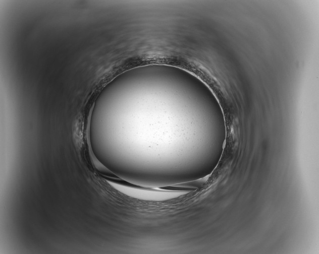 X0000098091348200804110954