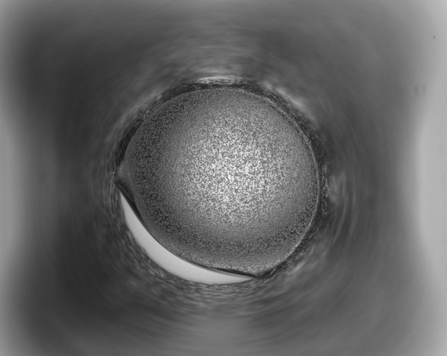 X0000098091351200804110954