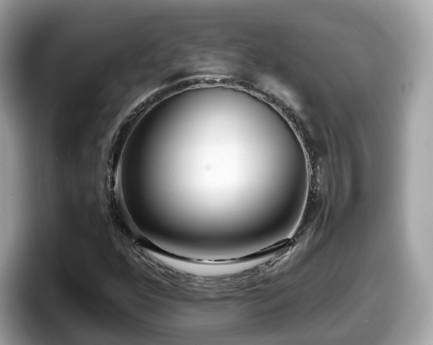 X0000098091352200804110954