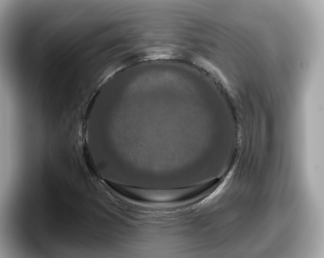 X0000098091353200804110954