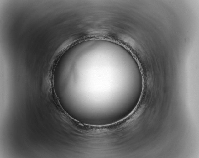 X0000098091354200804110954