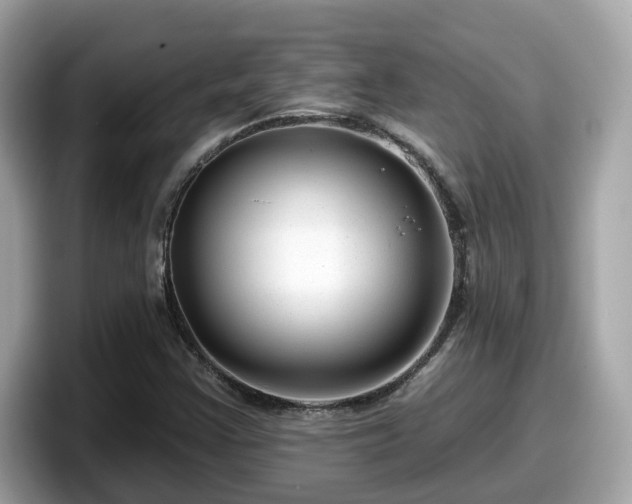 X0000098091355200804110954