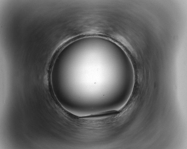 X0000098091356200804110954