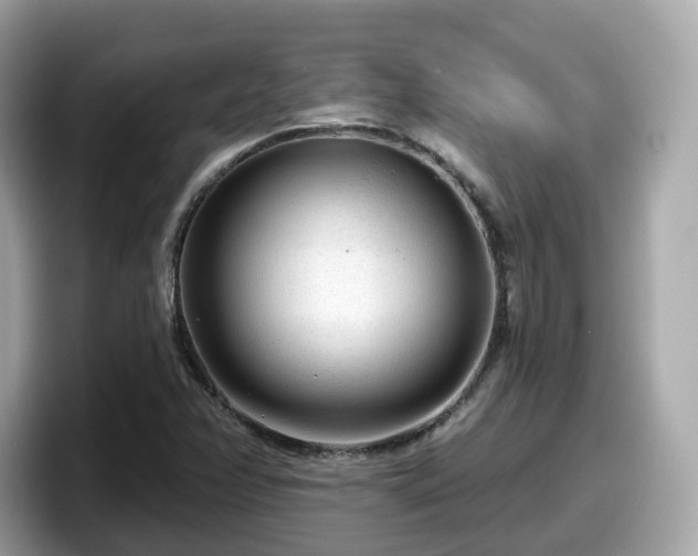 X0000098091358200804110954