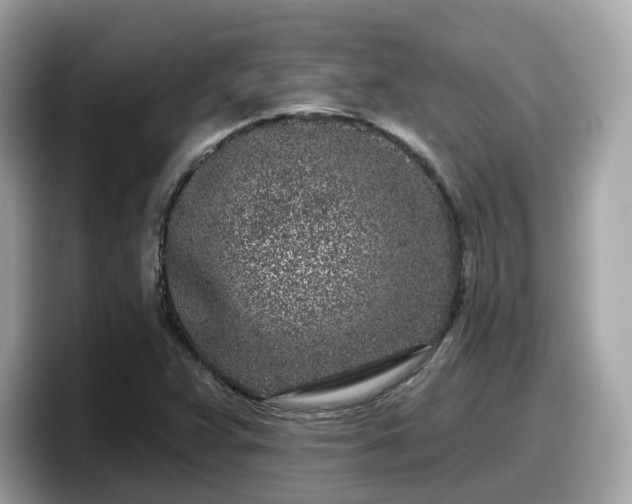 X0000098091359200804110954