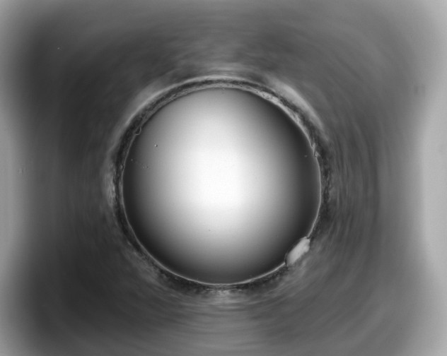 X0000098091360200804110954