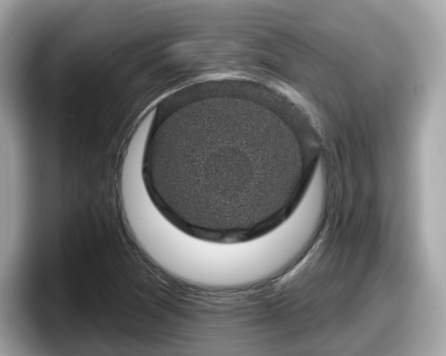 X0000098091361200804110954