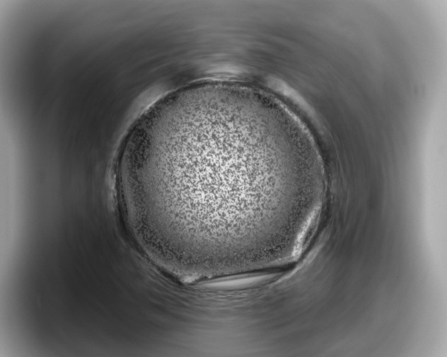 X0000098091362200804110954