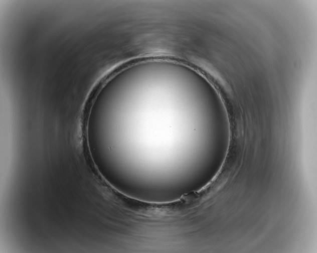 X0000098091364200804110954