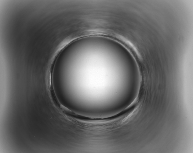 X0000098091365200804110954