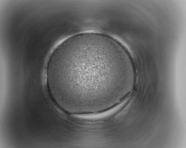X0000098091367200804110954