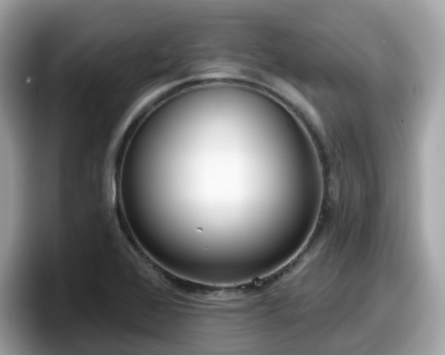 X0000098091368200804110954