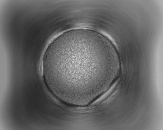 X0000098091371200804110954