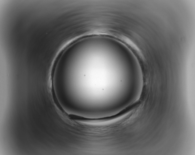 X0000098091372200804110954