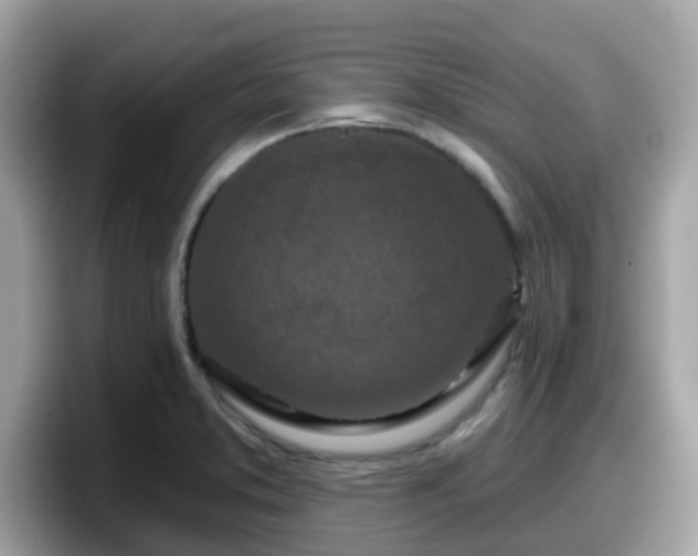 X0000098091373200804110954