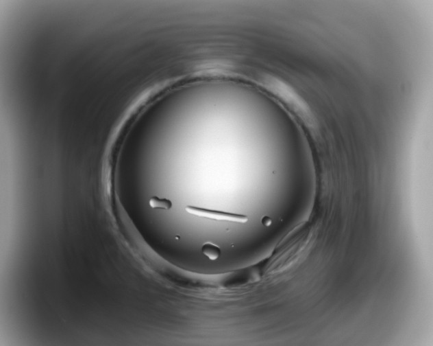 X0000098091376200804110954